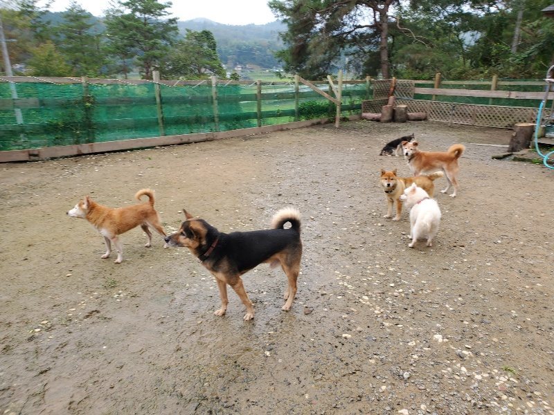 f:id:roukenhome-ann:20191027181248j:plain