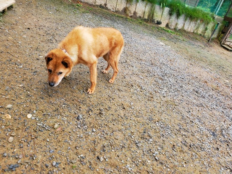 f:id:roukenhome-ann:20191027181351j:plain