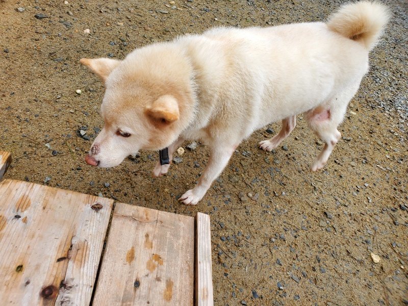 f:id:roukenhome-ann:20191027181424j:plain