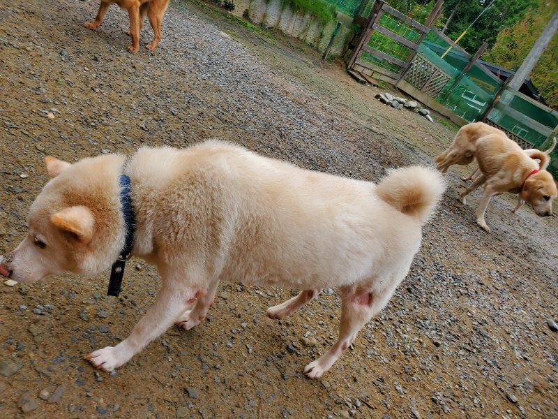 f:id:roukenhome-ann:20191027181456j:plain