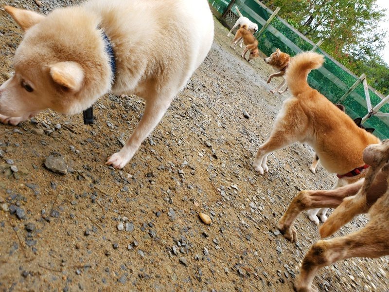f:id:roukenhome-ann:20191027181516j:plain