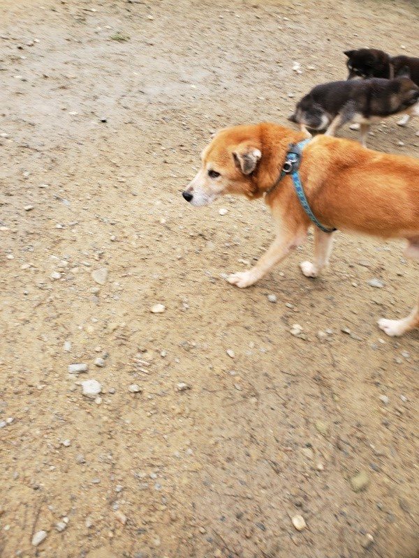 f:id:roukenhome-ann:20191027181954j:plain