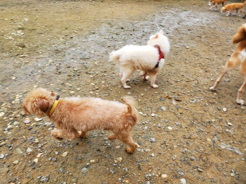 f:id:roukenhome-ann:20191027182019j:plain