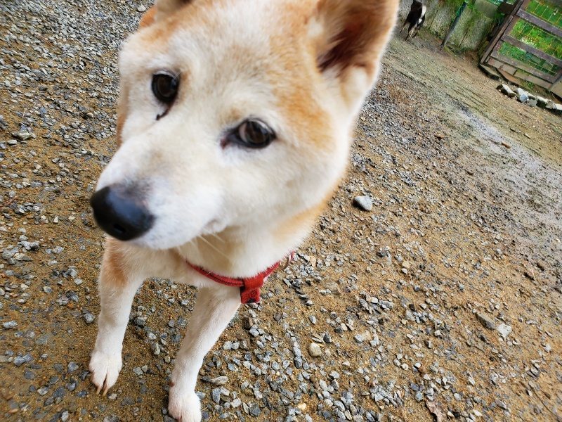f:id:roukenhome-ann:20191027182026j:plain