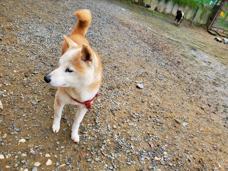 f:id:roukenhome-ann:20191027182048j:plain