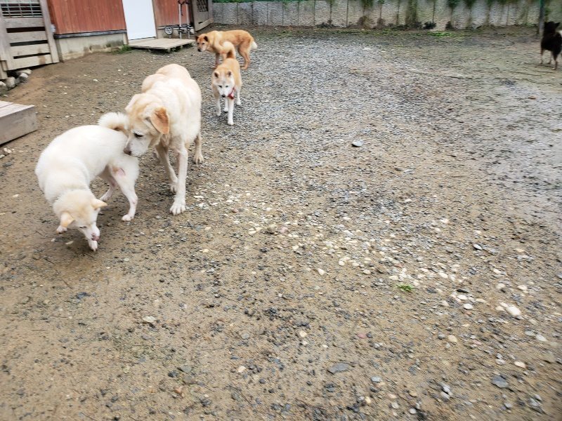 f:id:roukenhome-ann:20191027182151j:plain