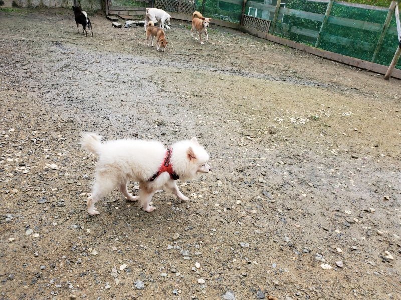 f:id:roukenhome-ann:20191027182202j:plain