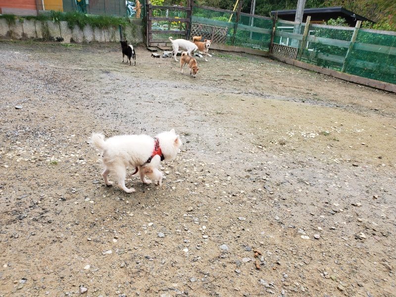 f:id:roukenhome-ann:20191027182224j:plain