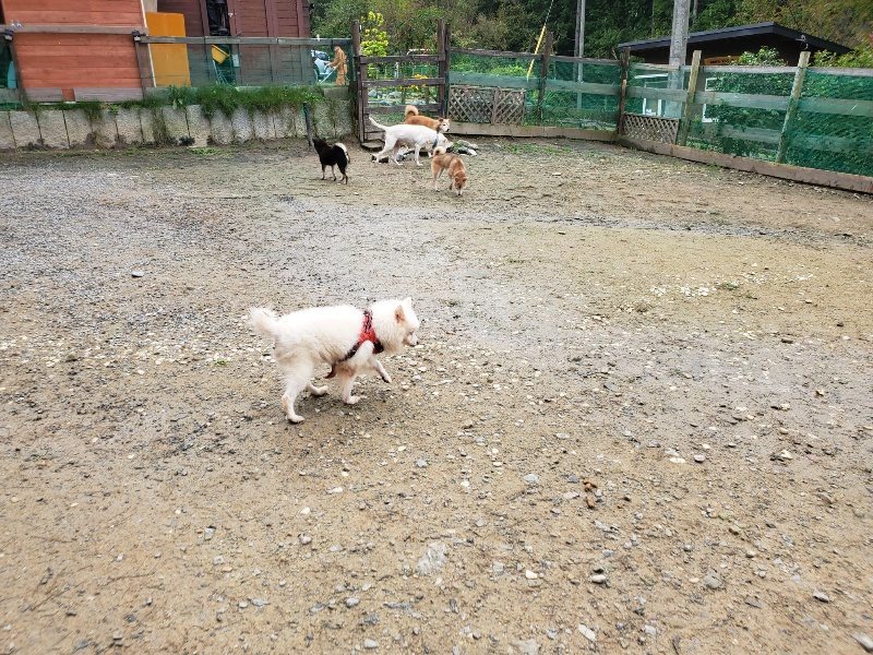 f:id:roukenhome-ann:20191027182239j:plain