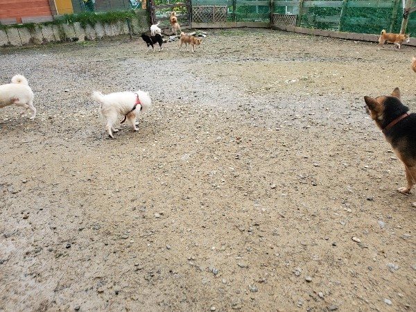 f:id:roukenhome-ann:20191027182251j:plain
