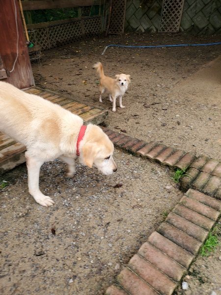 f:id:roukenhome-ann:20191027182324j:plain