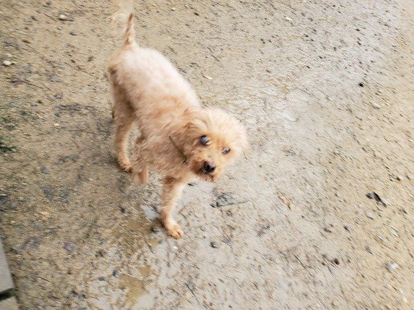 f:id:roukenhome-ann:20191027182407j:plain