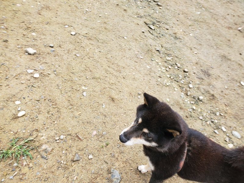 f:id:roukenhome-ann:20191027184817j:plain
