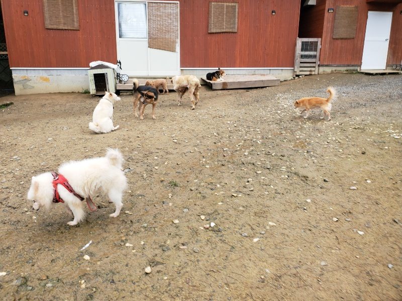 f:id:roukenhome-ann:20191027184824j:plain