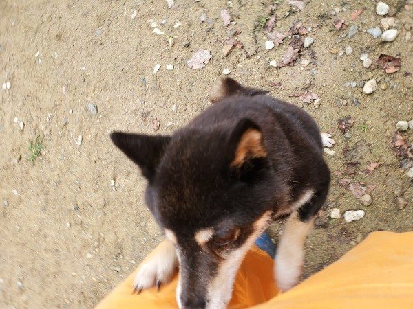 f:id:roukenhome-ann:20191027184850j:plain