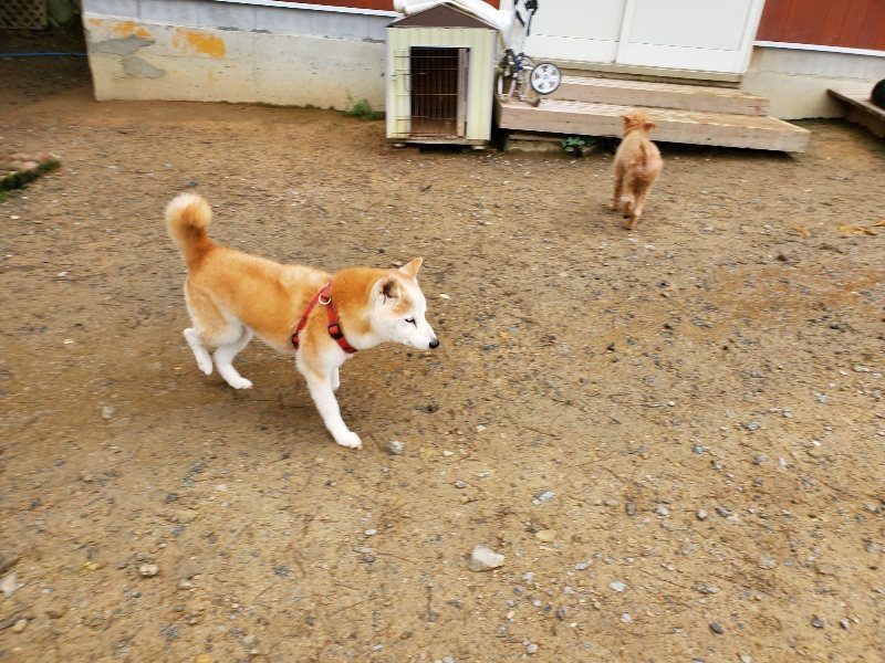 f:id:roukenhome-ann:20191027184917j:plain