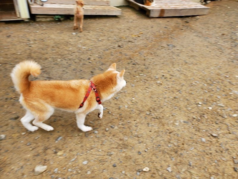 f:id:roukenhome-ann:20191027184924j:plain