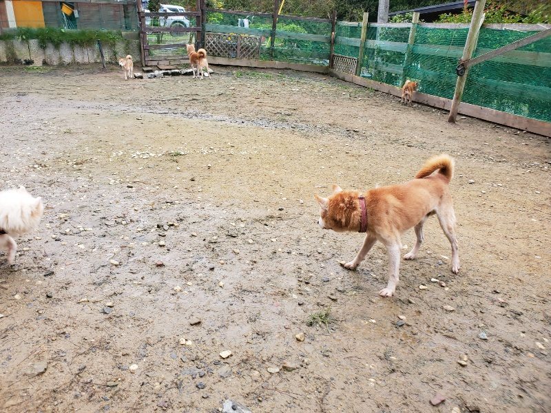 f:id:roukenhome-ann:20191027184937j:plain