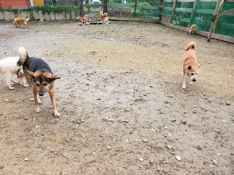 f:id:roukenhome-ann:20191027184954j:plain