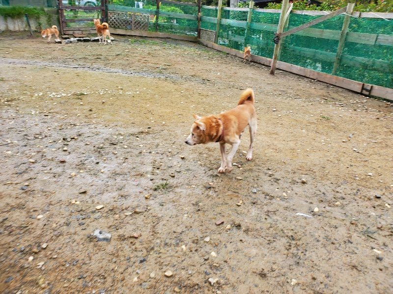 f:id:roukenhome-ann:20191027185004j:plain