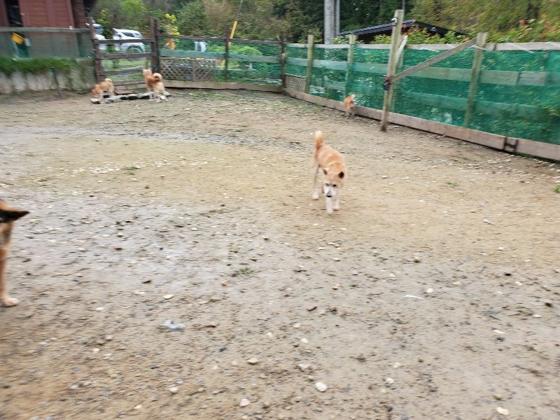 f:id:roukenhome-ann:20191027185016j:plain