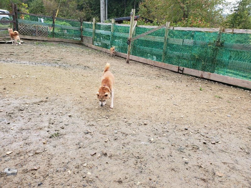 f:id:roukenhome-ann:20191027185024j:plain