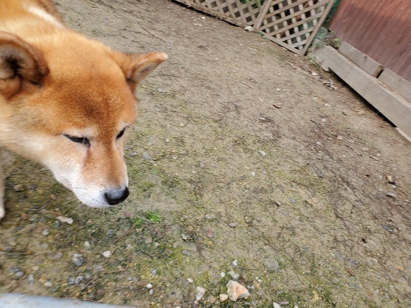 f:id:roukenhome-ann:20191027185130j:plain