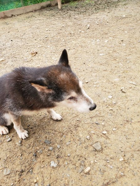 f:id:roukenhome-ann:20191027185233j:plain