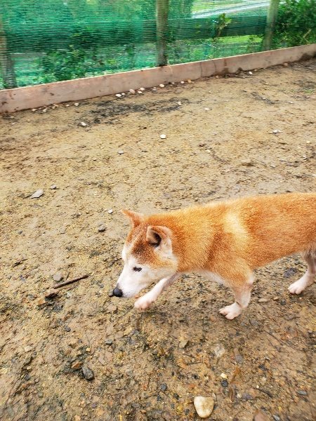 f:id:roukenhome-ann:20191027185243j:plain