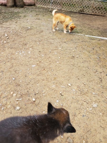 f:id:roukenhome-ann:20191027185249j:plain