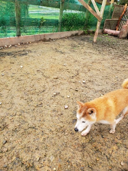 f:id:roukenhome-ann:20191027185256j:plain