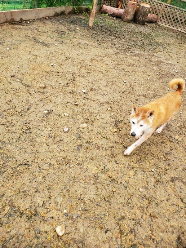f:id:roukenhome-ann:20191027185308j:plain