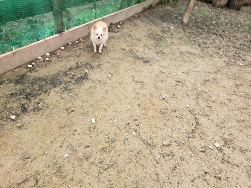 f:id:roukenhome-ann:20191027185400j:plain