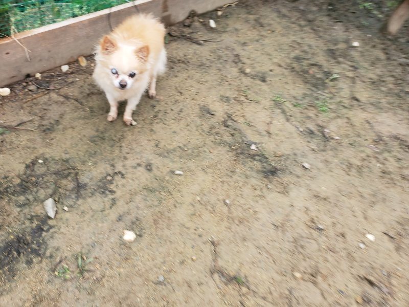 f:id:roukenhome-ann:20191027185408j:plain