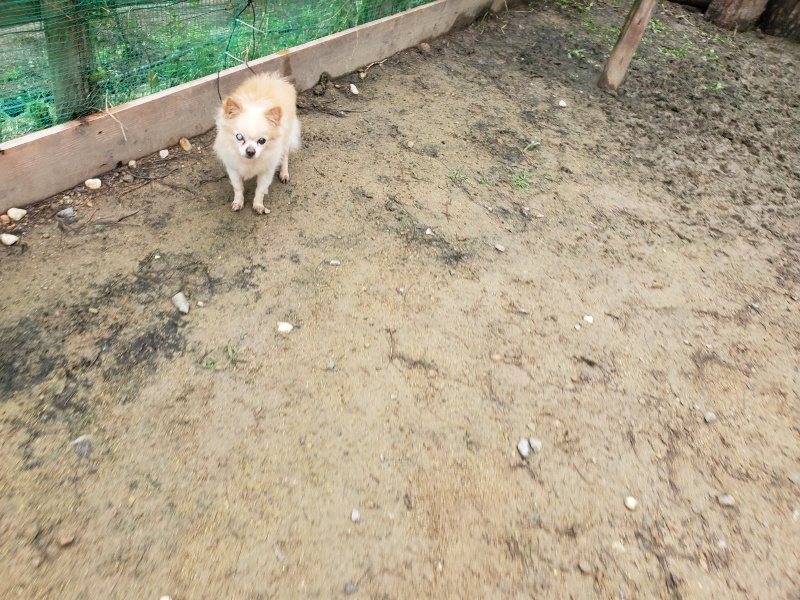 f:id:roukenhome-ann:20191027185416j:plain