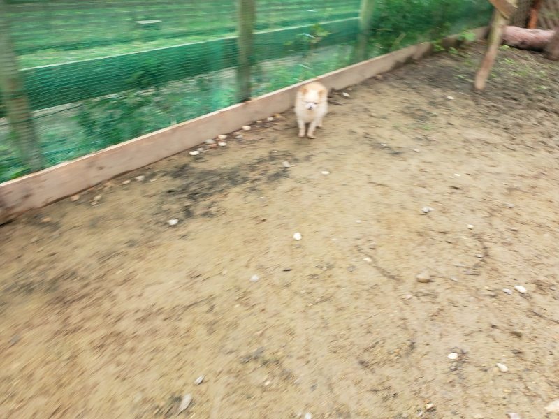 f:id:roukenhome-ann:20191027185421j:plain
