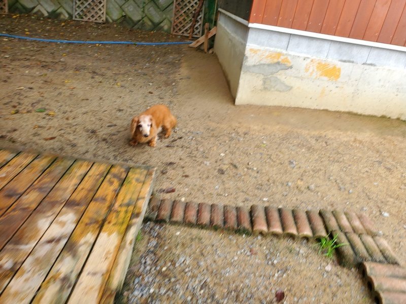 f:id:roukenhome-ann:20191027185441j:plain