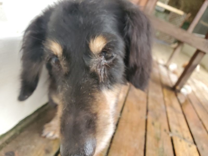 f:id:roukenhome-ann:20191027185541j:plain