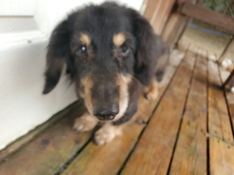 f:id:roukenhome-ann:20191027185548j:plain