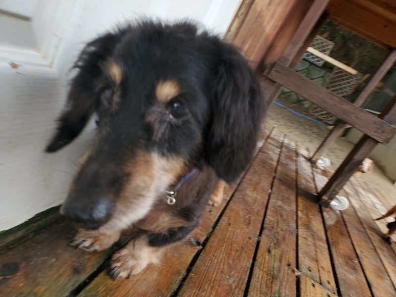 f:id:roukenhome-ann:20191027185553j:plain