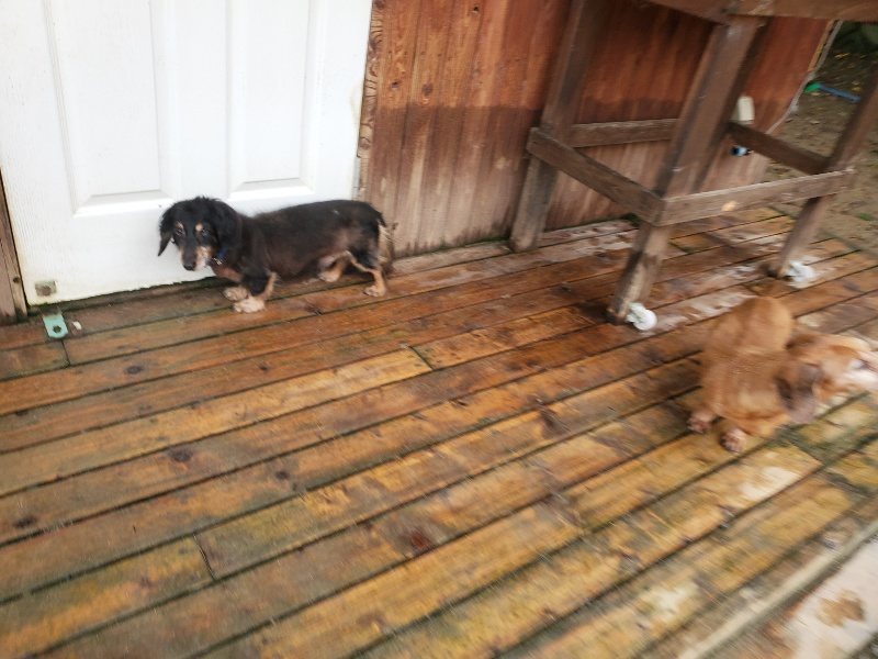 f:id:roukenhome-ann:20191027185601j:plain