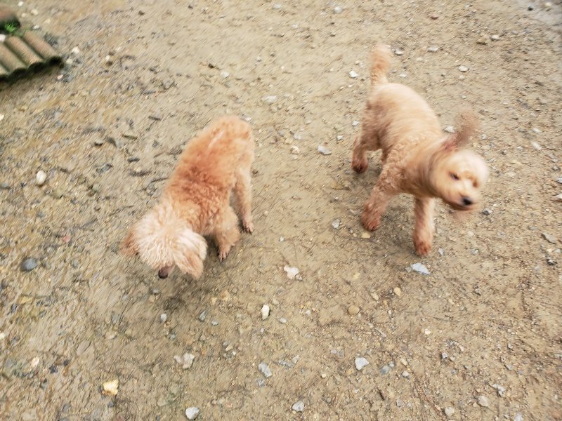 f:id:roukenhome-ann:20191027185620j:plain