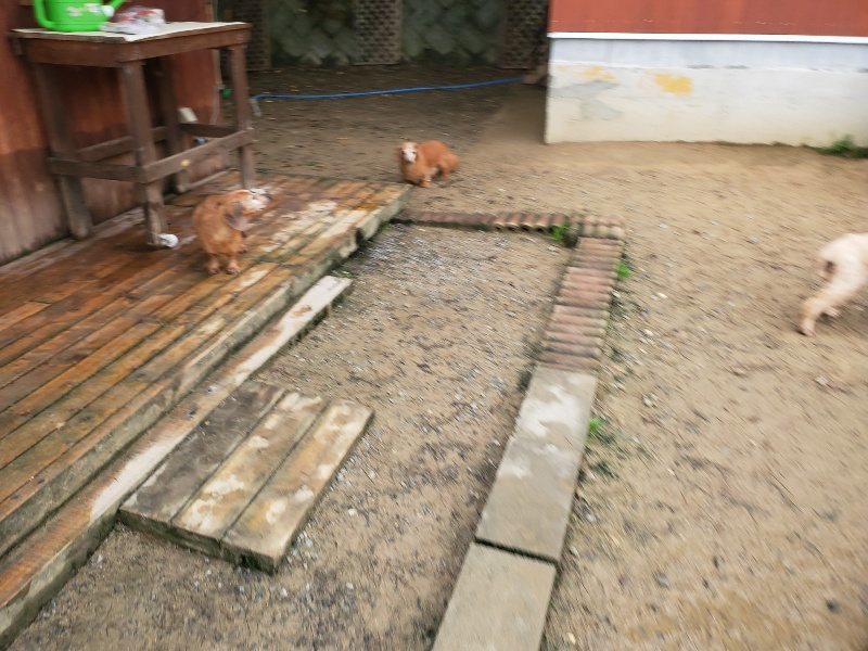 f:id:roukenhome-ann:20191027185631j:plain
