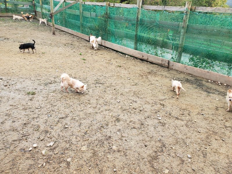 f:id:roukenhome-ann:20191027185651j:plain
