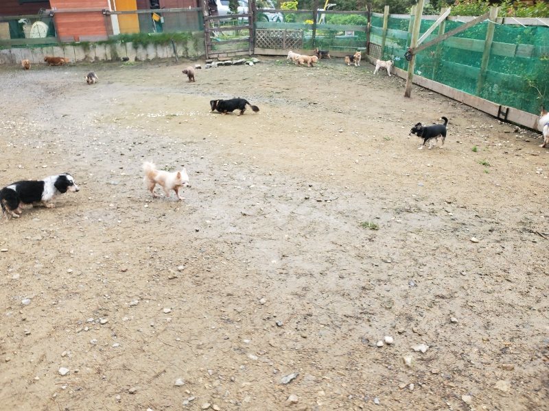 f:id:roukenhome-ann:20191027185705j:plain