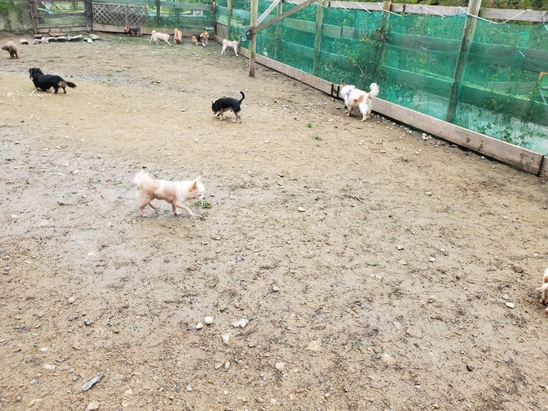 f:id:roukenhome-ann:20191027185714j:plain