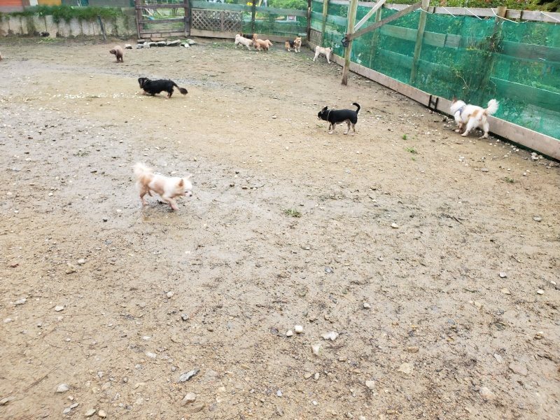 f:id:roukenhome-ann:20191027185723j:plain