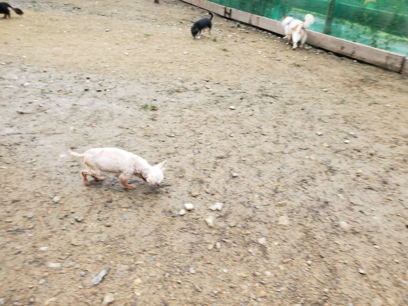 f:id:roukenhome-ann:20191027185729j:plain