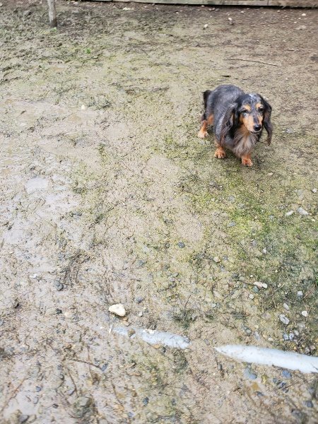 f:id:roukenhome-ann:20191027185755j:plain