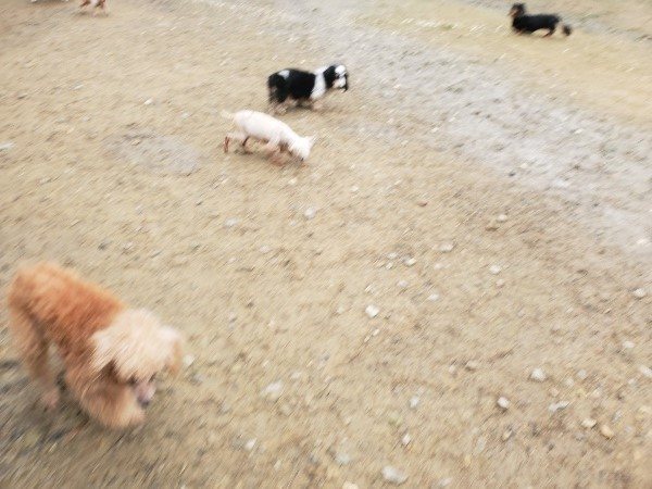 f:id:roukenhome-ann:20191027185801j:plain